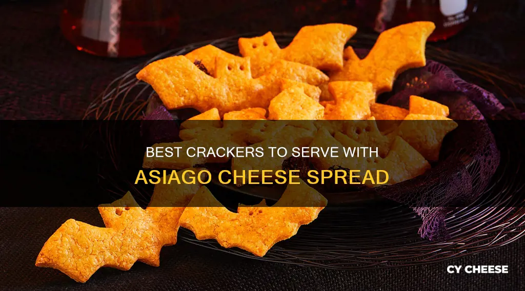 what cracker goes well with asiago cheese spread