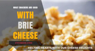 Perfect Pairings: Top Crackers to Complement Creamy Brie Cheese