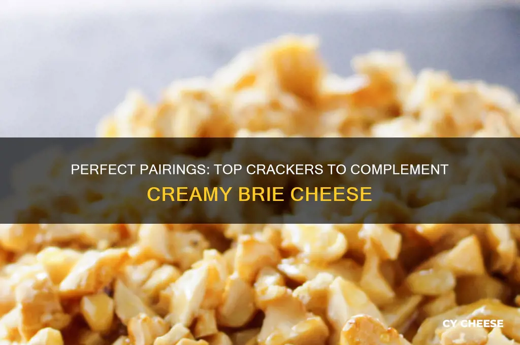 what crackers are good with brie cheese