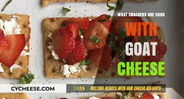 Perfect Pairings: Best Crackers to Complement Creamy Goat Cheese
