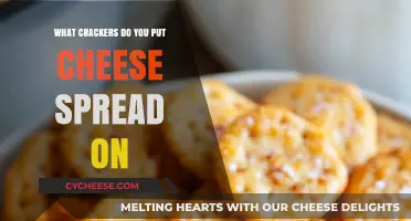 Best Crackers for Cheese Spreads: A Guide