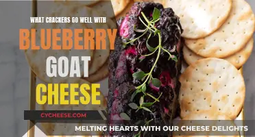 Blueberry Goat Cheese Bliss: Cracker Pairings to Delight Your Taste Buds