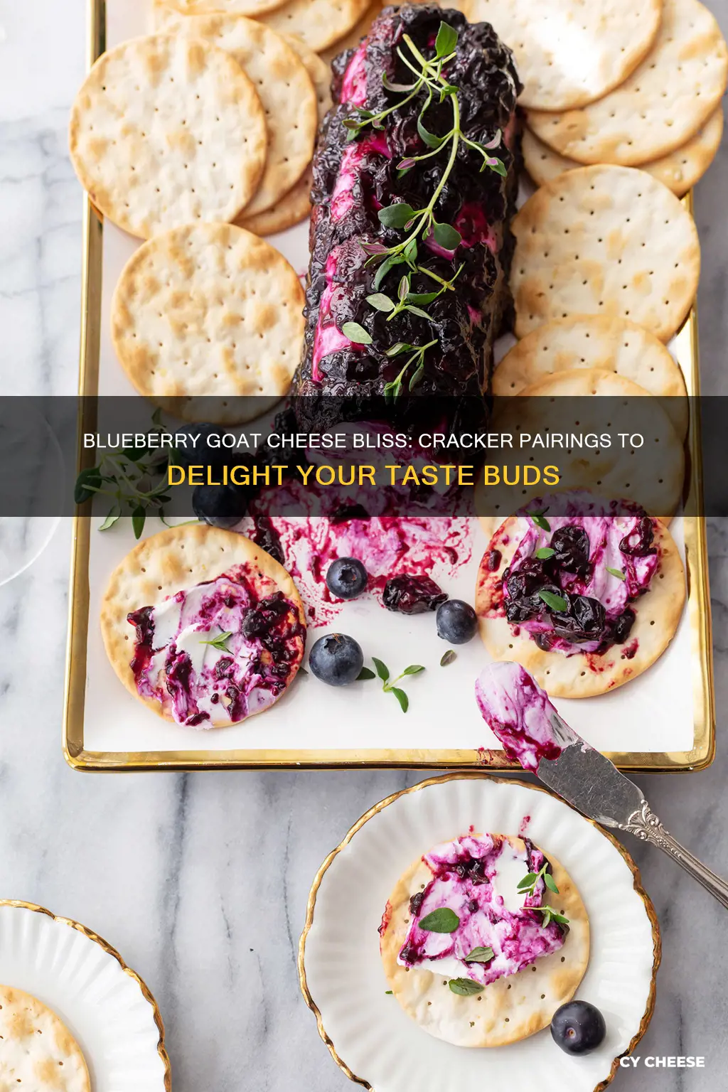 what crackers go well with blueberry goat cheese