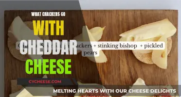 Cheddar Cheese Companion: Exploring the Best Cracker Matches