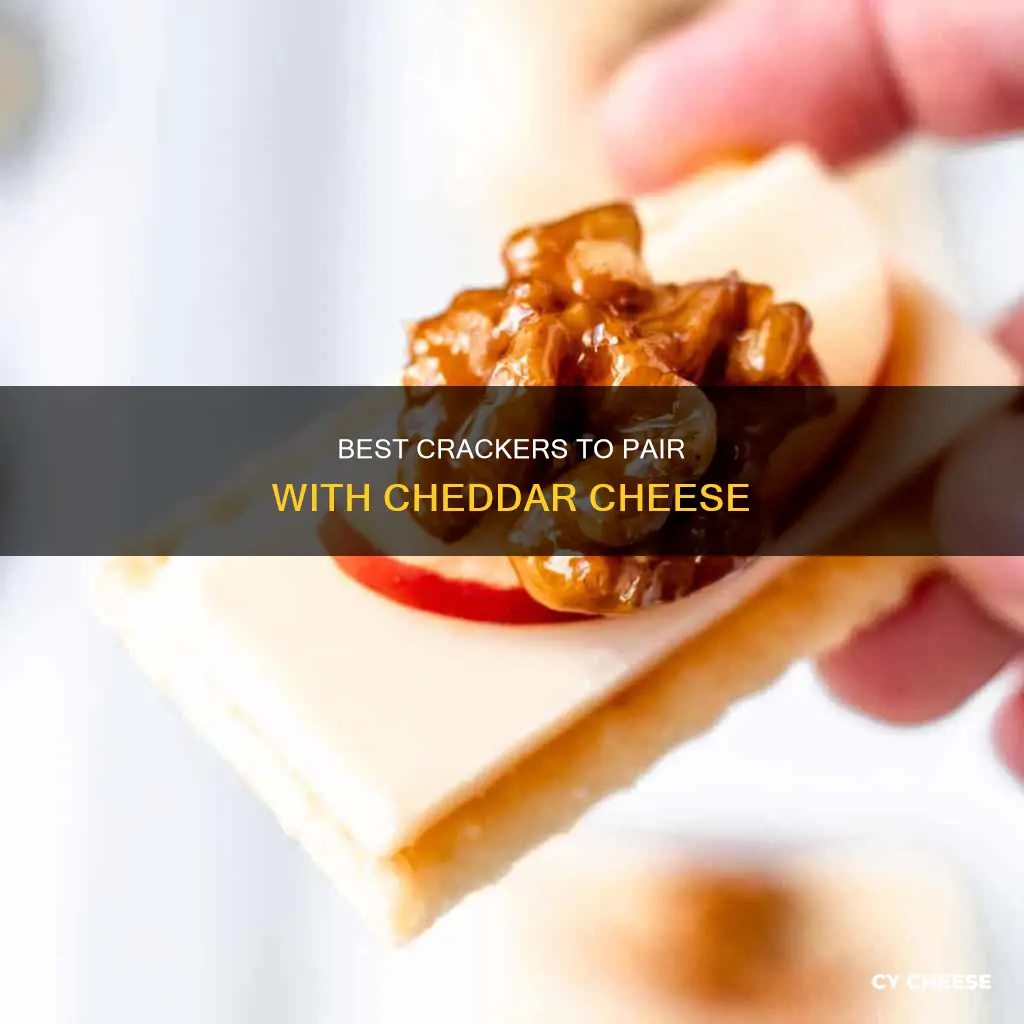 what crackers go with cheddar cheese