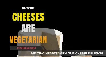 Vegetarian-Friendly Craft Cheeses: A Guide to Animal-Free Artisan Varieties