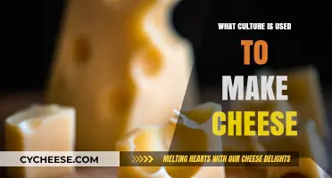 Cheese-Making: A Cultural History