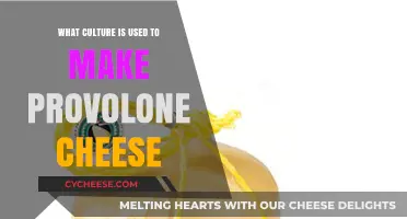 Provolone Cheese: Secrets of Italian Culture