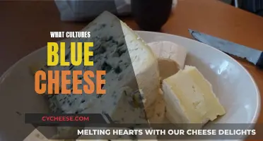 The Art of Blue Cheese: A Cultural Odyssey