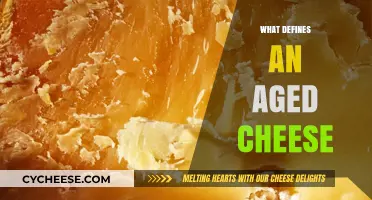 Exploring the Art of Aging: What Defines an Aged Cheese