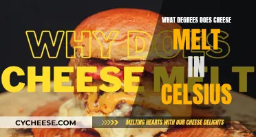 Cheese Melting: Degrees Celsius Explained
