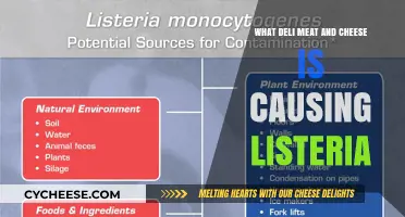 Deli Meat and Cheese Listeria Outbreak: Identifying the Culprits