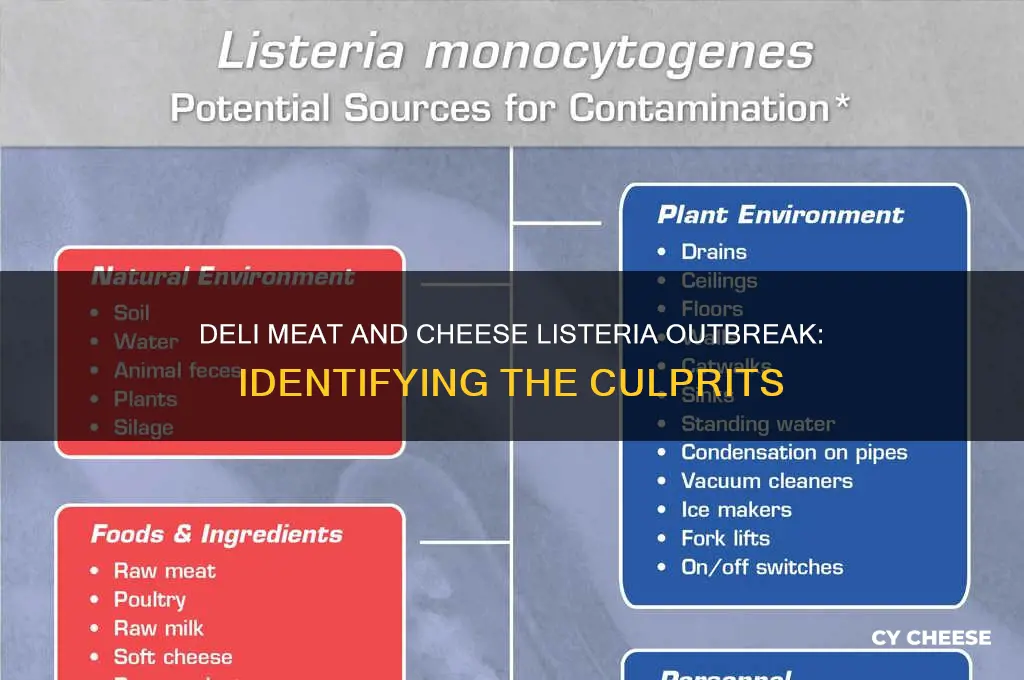 what deli meat and cheese is causing listeria