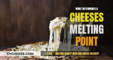 The Science Behind Melting Cheeses