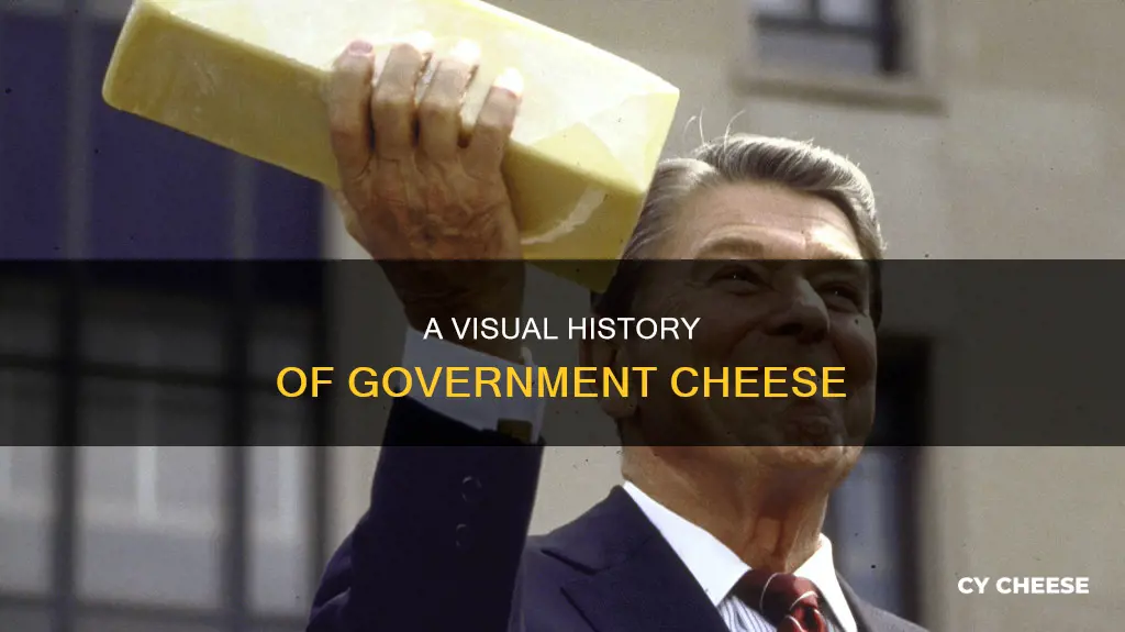 what did government cheese look like
