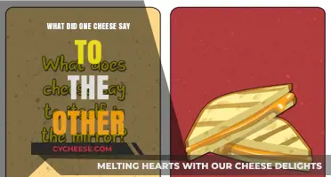 Cheesy Banter: What Did One Cheese Say to the Other?