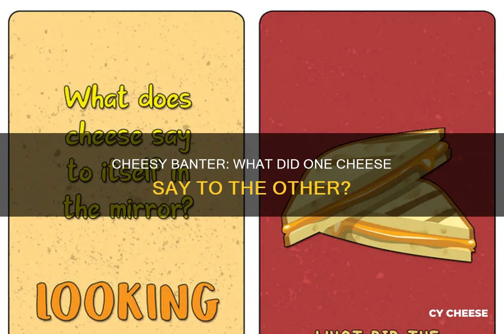 what did one cheese say to the other