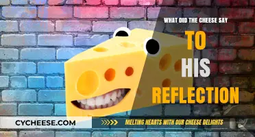 What Did the Cheese Say to Its Reflection? A Cheesy Tale