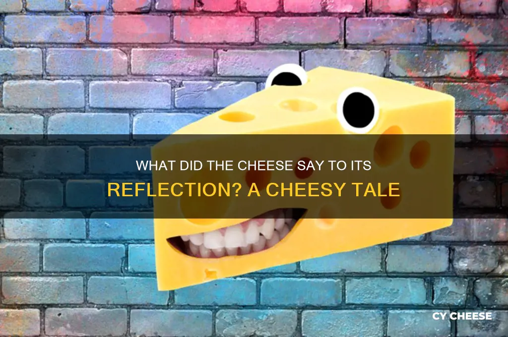 what did the cheese say to his reflection