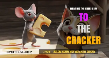 What Did the Cheese Say to the Cracker? A Cheesy Tale
