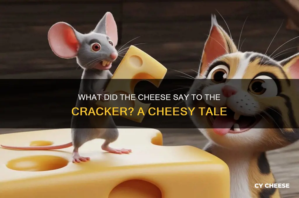 what did the cheese say to the cracker