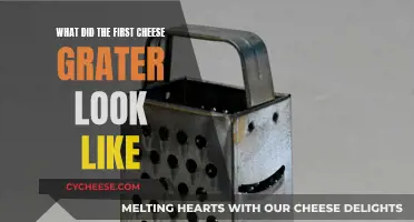 The Evolution of Cheese Graters: From Primitive to Practical