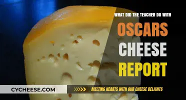 Teacher's Creative Twist on Oscar's Missing Cheese Report Mystery