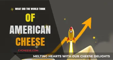 Global Perspectives: How American Cheese is Viewed Worldwide