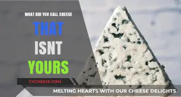 Borrowed Cheese: The Etiquette of Enjoying Someone Else’s Dairy Delights