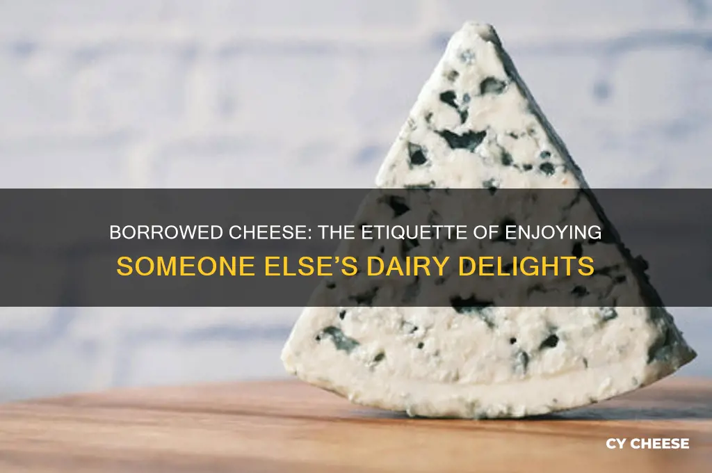 what did you call cheese that isnt yours