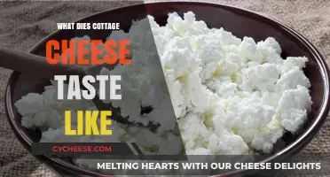 Exploring the Unique Flavor Profile of Cottage Cheese: A Taste Test