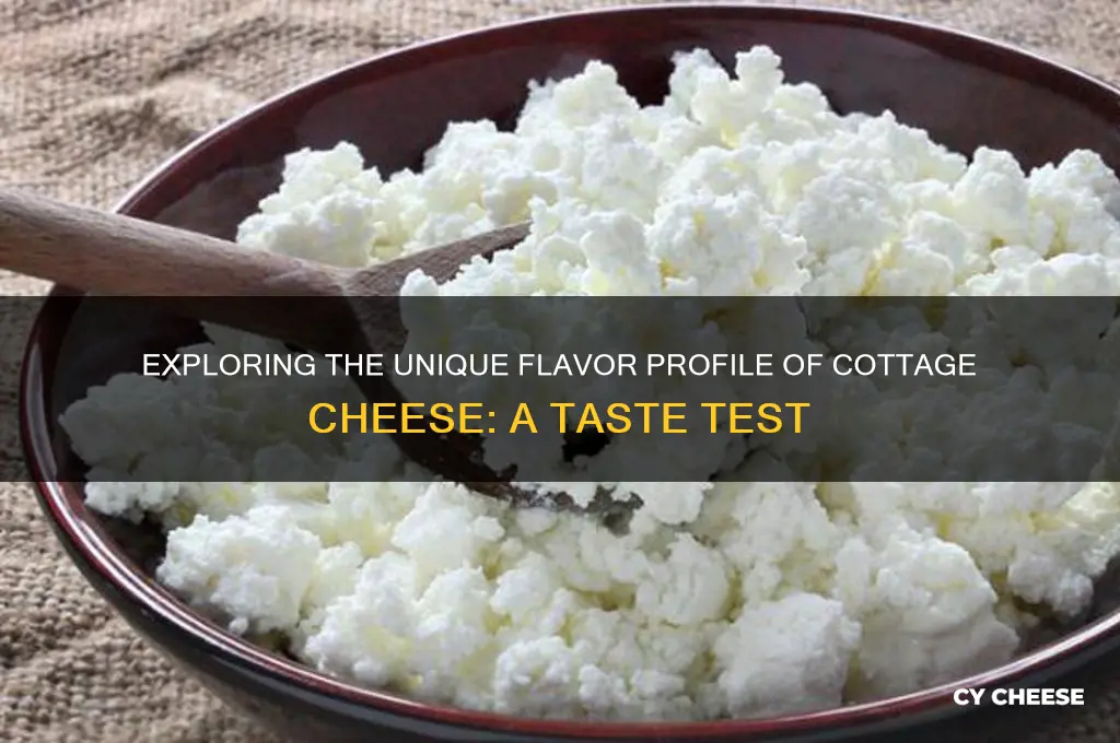 what dies cottage cheese taste like