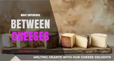 Exploring Cheese Varieties: Texture, Flavor, and Aging Differences Revealed