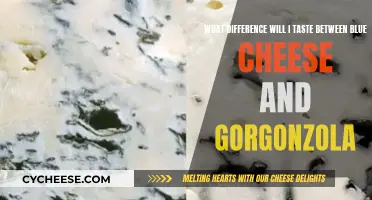 Blue Cheese vs Gorgonzola: What's the Taste Difference?