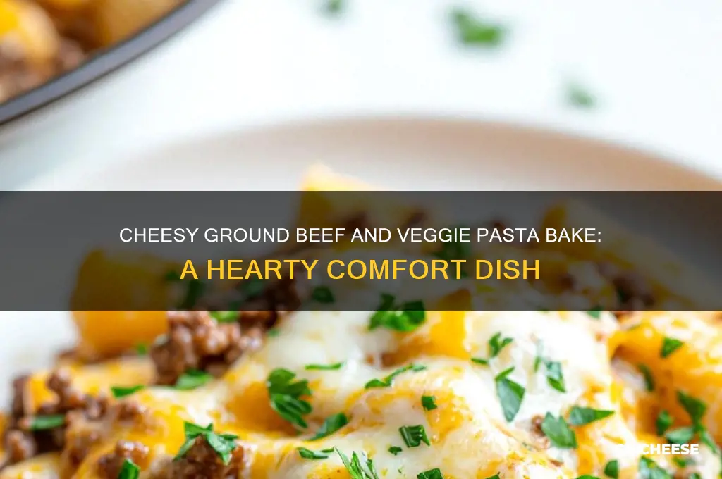 what dish is pasta mix vegetable ground beef and cheese