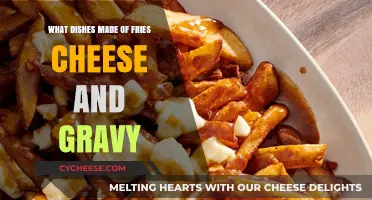 Cheesy Gravy Fries: A Tasty Comfort Food Adventure