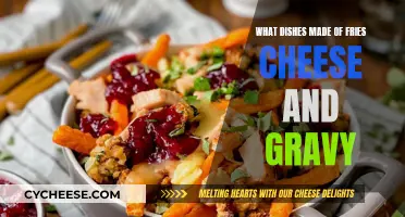 Cheesy, Gravy-licious Fries: Ultimate Comfort Food Creations