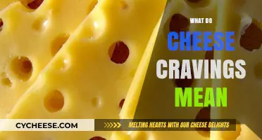 Decoding Cheese Cravings: What Your Body Might Be Telling You