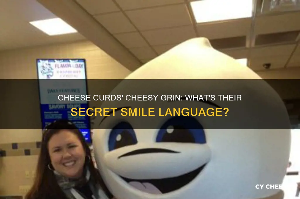 what do cheese curds say when they smile