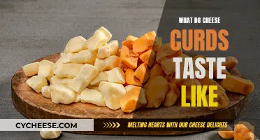 Cheese Curds: What Do They Actually Taste Like?