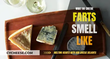 Cheese and Its Impact on Fart Odor