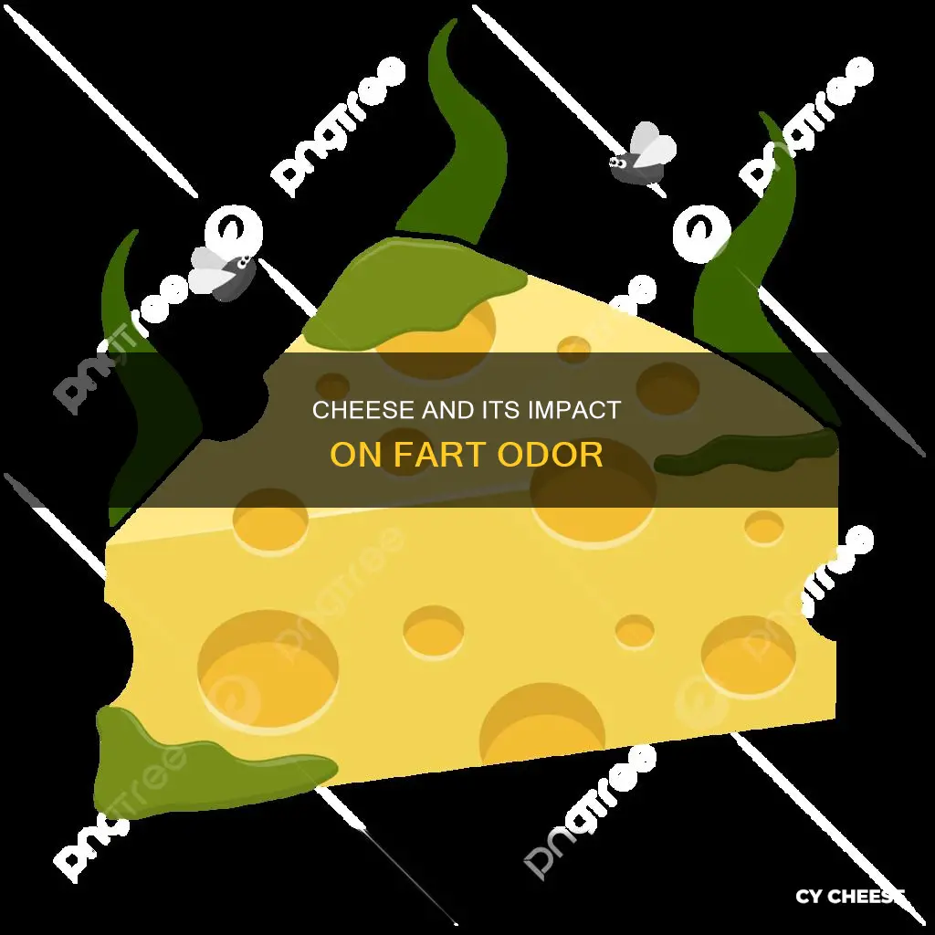 what do cheese farts smell like