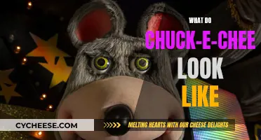 Chuck-E-Cheese: A Fun and Colorful Adventure for Kids