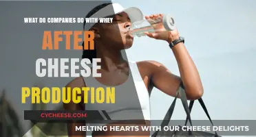 Whey Beyond Cheese: Innovative Uses in Food and Industry