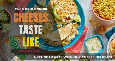 Exploring Unique Flavors of Mexican Cheeses