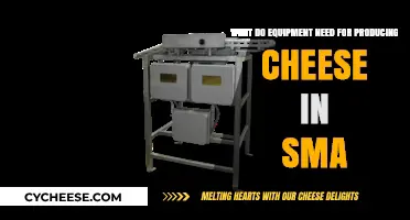Essential Small-Scale Cheese Making Equipment for Home Producers