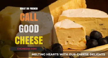 Exploring France's Love Affair: What the French Call Good Cheese