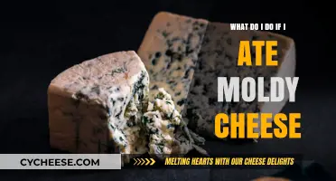 Ate Moldy Cheese? Here’s What to Do Next for Safety