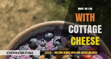 Creative Ways to Use Cottage Cheese in Your Daily Meals