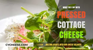 Creative Ways to Use Pressed Cottage Cheese in Your Kitchen